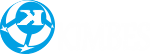 KIMBES Logo
