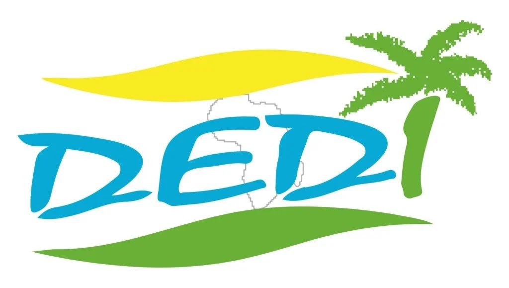 Développement Équité Durabilité et Innovation( DEDI) Logo