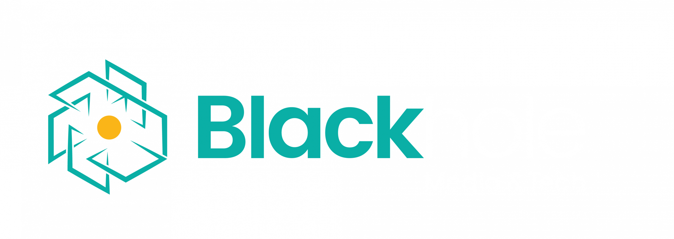 Blackhole Media & Tech Logo