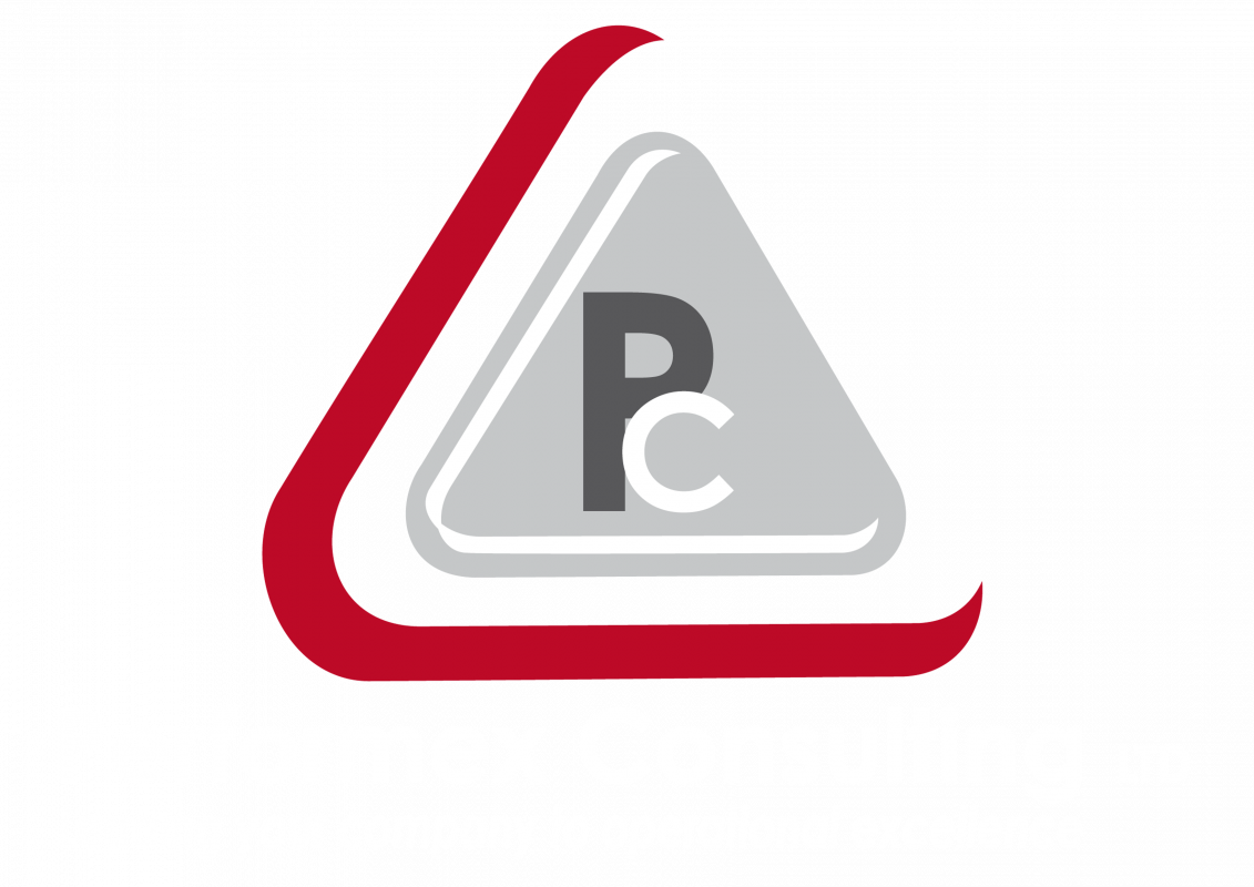 PERFORMEX CONSULTING Ltd Logo