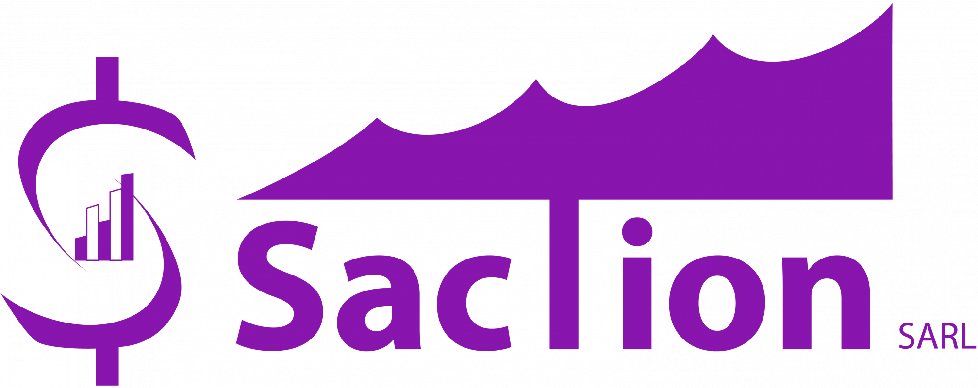 SACTION SARL Logo
