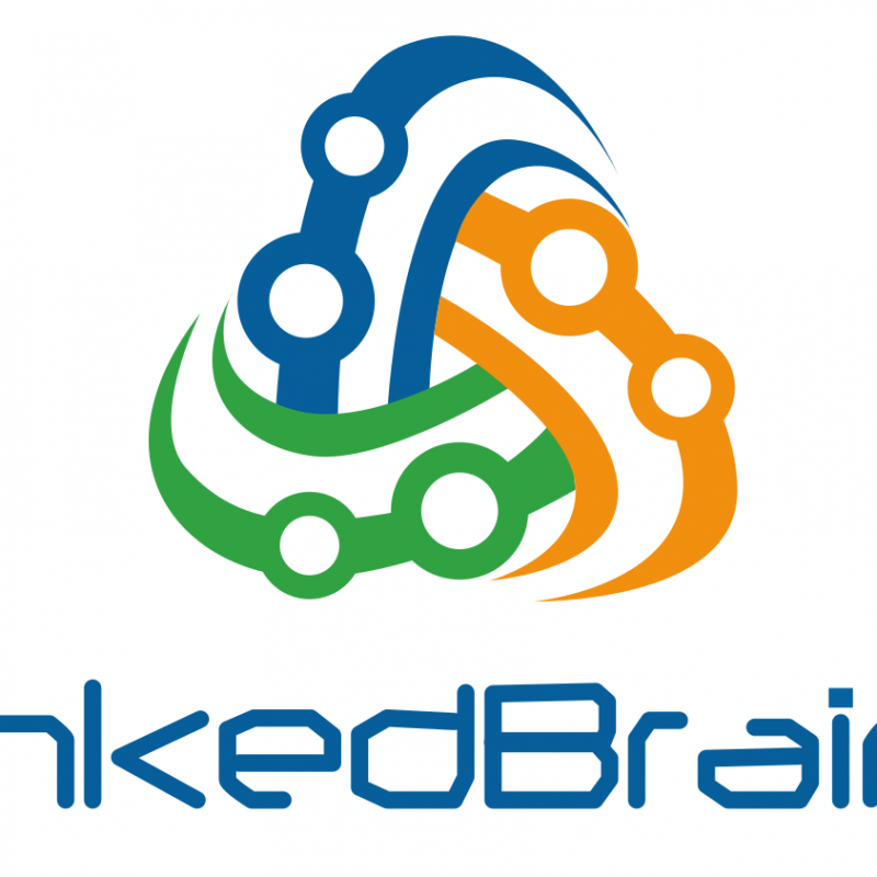 LinkedBrains Sarl Logo