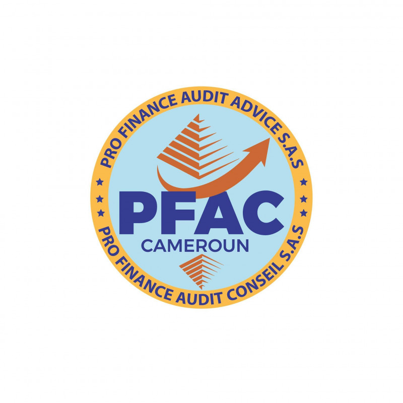 PRO FINANCE AUDIT CONSEIL (PFAC) Logo