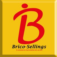 BRiCO-SELLINGS Logo